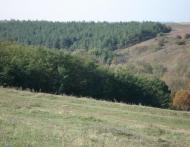 Лозовата з panoramio.com