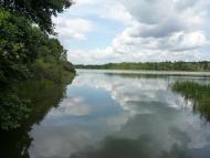 Коти з panoramio.com