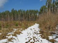 Дмитрівка з panoramio.com