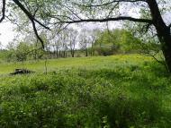 Малахове - Останні фото