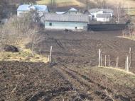 Шибалин з panoramio.com