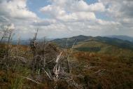 Верховина-Бистра з panoramio.com - Верховина-Быстрая