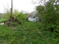 Борсуки з panoramio.com