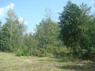 Білотин з panoramio.com