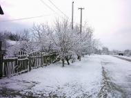 Половинкине з panoramio.com