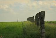 Раухівка з panoramio.com