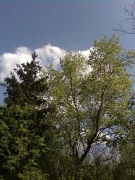 Агрономія з panoramio.com