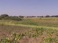 Соснівка з panoramio.com