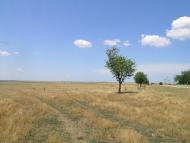 Батальне з panoramio.com