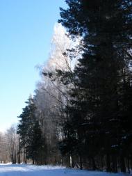 Судилків з panoramio.com