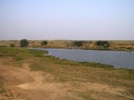 Прямобалка з panoramio.com