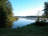 Коти з panoramio.com