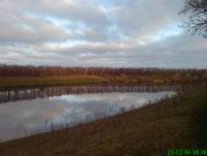 Підліснівка з panoramio.com