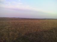 Темногайці з panoramio.com