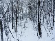 Вариводки з panoramio.com