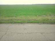 Водник з panoramio.com