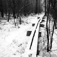 Мала Перещепина з panoramio.com