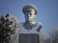 Весела Долина з panoramio.com