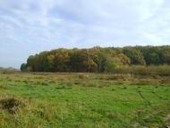 Чернин з panoramio.com