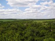 Золоте з panoramio.com