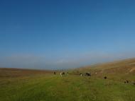 Тарноруда з panoramio.com