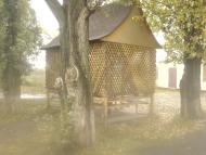 Зелений Гай з panoramio.com