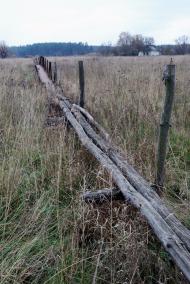 Писарівка з panoramio.com