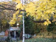 Гільча Перша з panoramio.com