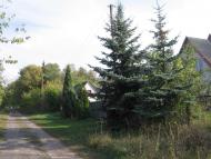 Ворожба з panoramio.com