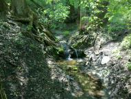 Червоний Оскіл з panoramio.com