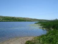 Троїцьке з panoramio.com