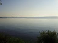 Толокунь з panoramio.com