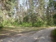 Крейдянка з panoramio.com