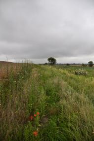 Лучківці з panoramio.com