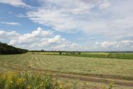 Рясне з panoramio.com - Рясное