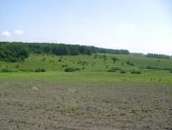 Шийки з panoramio.com