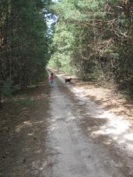 Дорогунь з panoramio.com