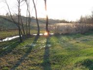 Мала Помічна з panoramio.com