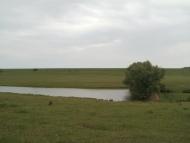 Кіблич з panoramio.com