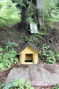 Лопушна з panoramio.com