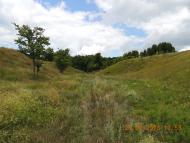 Плешкані з panoramio.com