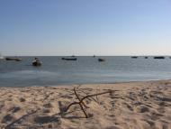 Ковське - Останні фото