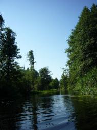 Бучин з panoramio.com