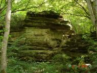 Слобода-Бушанська з panoramio.com