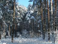 Авдіївка з panoramio.com