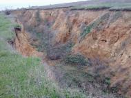 Олександрівка з panoramio.com