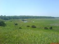 Піщане з panoramio.com