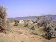 Біленьке з panoramio.com