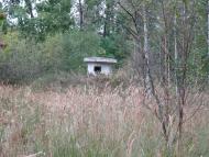 Ретик з panoramio.com