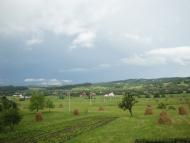 Мигове з panoramio.com